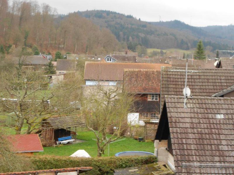 Apartment Schwendemann Lahr  Kültér fotó